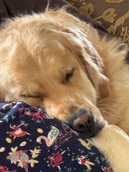 Beyond Adolescence and General Chit Chat - part 3