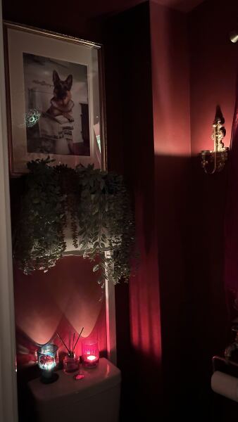 Thoughts on very dark paint in bedrooms