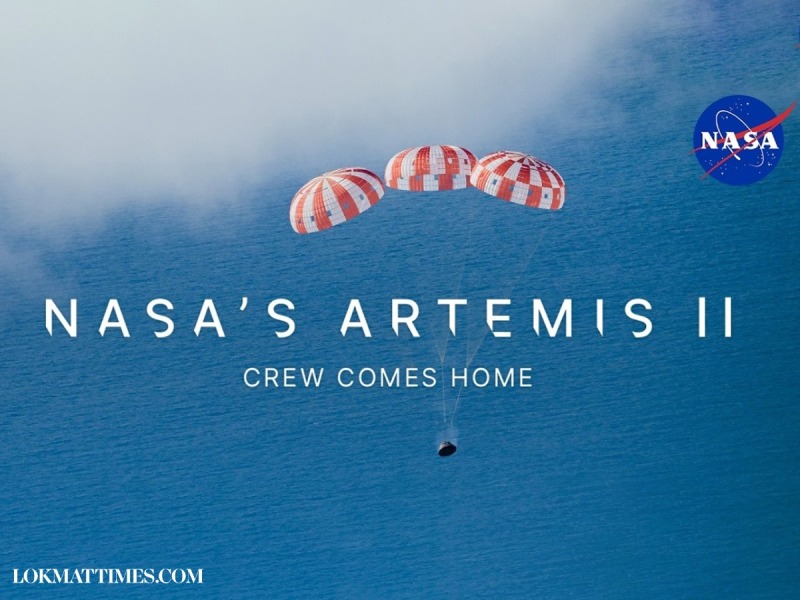 The Bluestocking: To the moon and back gerbil style.