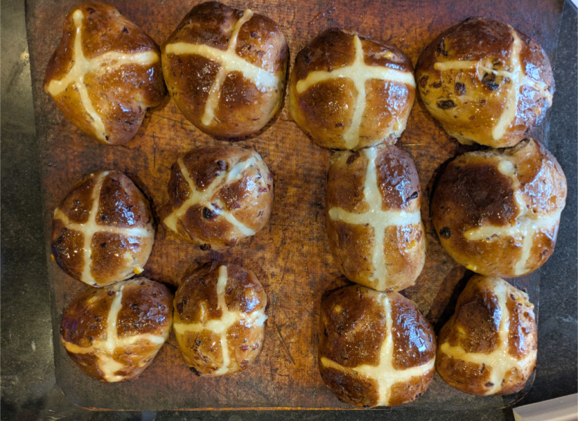 The Bluestocking: To the moon and back gerbil style.