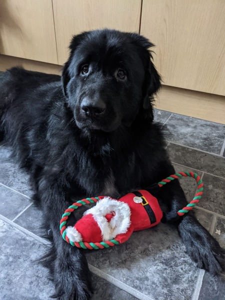 Think I'm going psychotic again