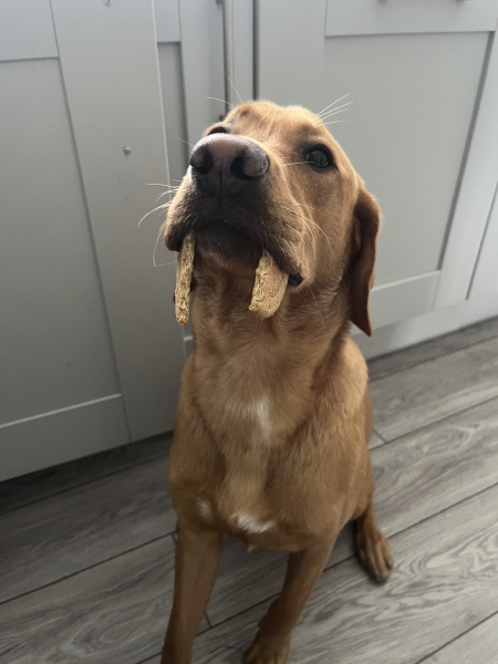 Beyond Adolescence and General Chit Chat - part 3