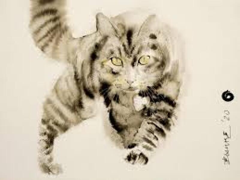 Carry On Catting - the Excellent Cats do what they do best