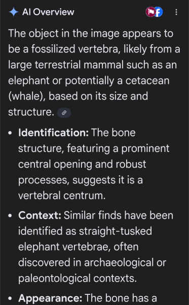 Can AI tell animal bones from human?