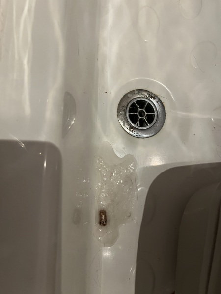 Clear sick and soft poo