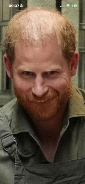 Harry and Meghan's Australian jaunt  -part 3 it's nearly over!