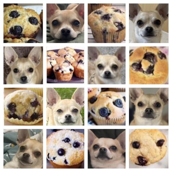 AIBU to think my colleague is lying about having two dogs?