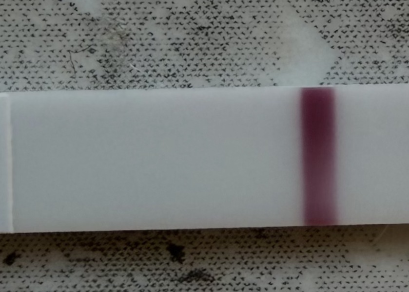 Can anyone else see a second line on this test?