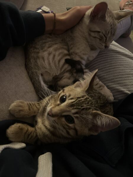 You go camping but only pack what's to the right of you right now , what are you packing?