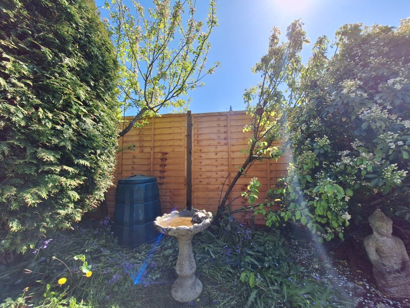 Year Round Nigel Slater discussion thread - Part 4