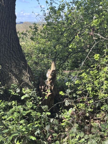 Keep On Exercising 2