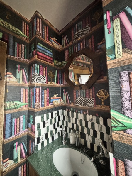 To ask to see your downstairs toilet wallpaper?