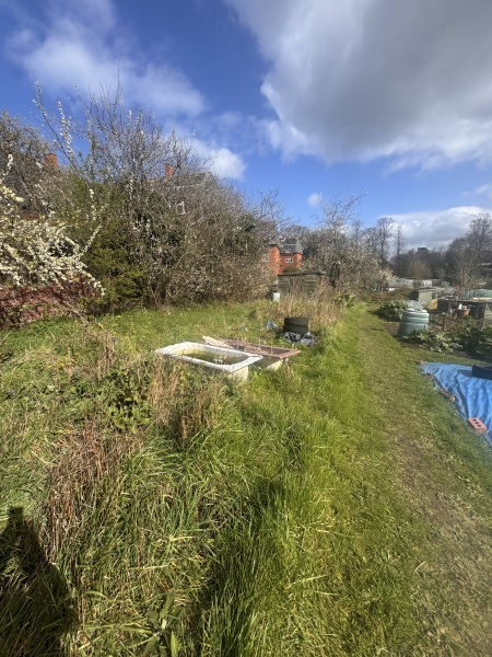 2026 Allotmenteers - have we lost the plot?!