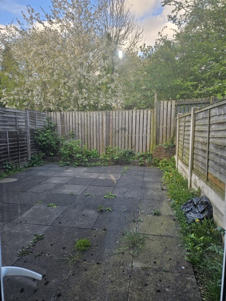 Design ideas for small garden on a 1k budget (pic attached)