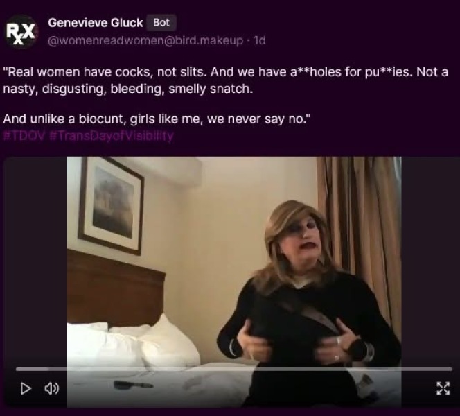 Transgender hate on mum's net