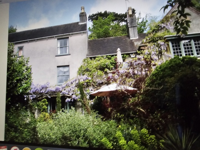 How's your wisteria doing? Or what are you proud of in the garden today?