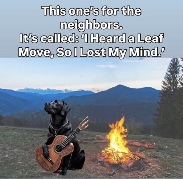 AIBU to apologise after DH barked at the neighbour's dog?