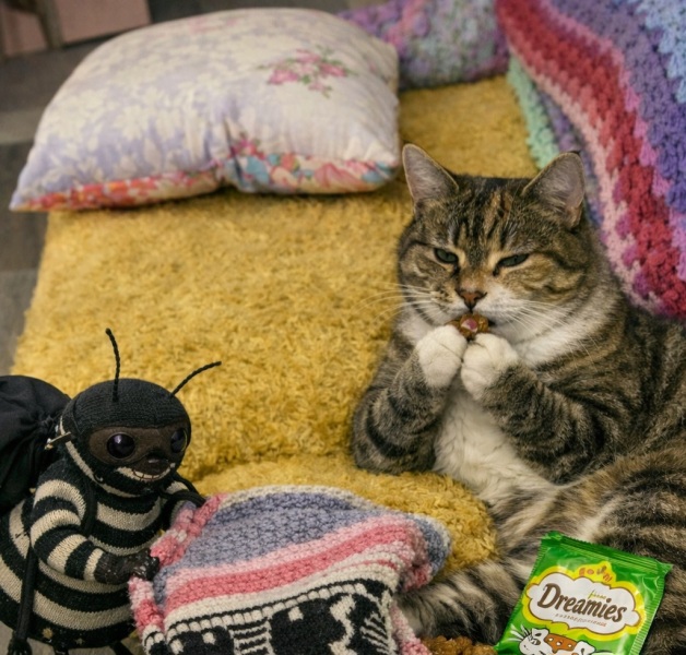 The Bluestocking: To the moon and back gerbil style.