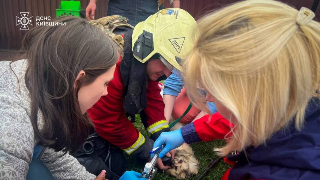 Ukraine Invasion: Part 60