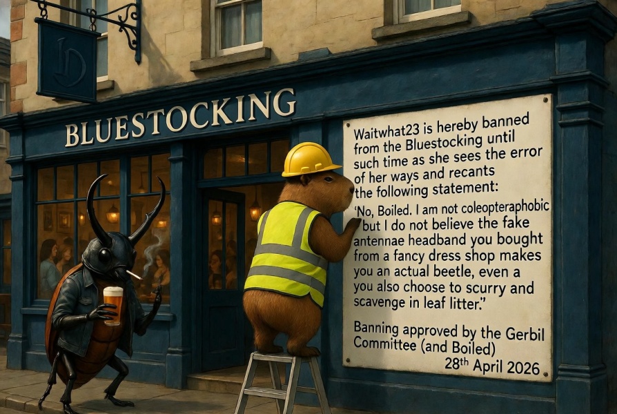 Bluestocking Women's Pub - cheapest bar on the internet.