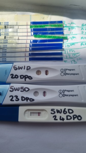 Are light positive tests normal at 5 weeks 6 days after loss?