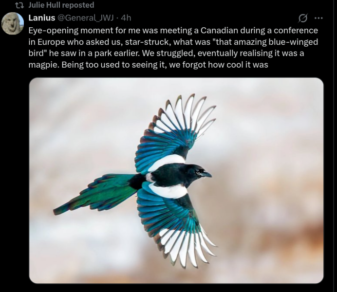 Bluestocking Women's Pub - cheapest bar on the internet.