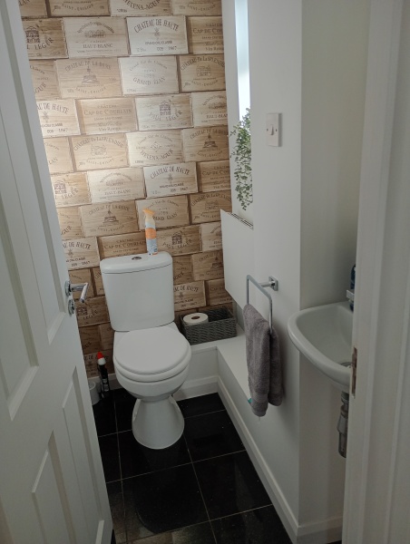To ask to see your downstairs toilet wallpaper?