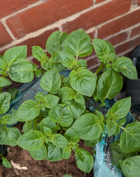 Year round Nigel Slater discussion thread - Part 3