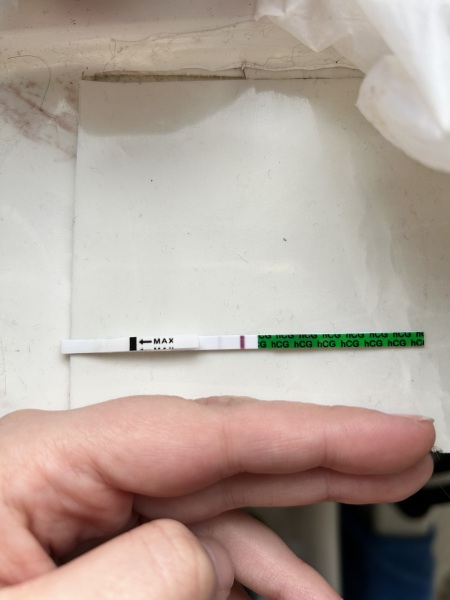 Bleeding and unclear dates in early pregnancy, looking for others' experiences [pics included]