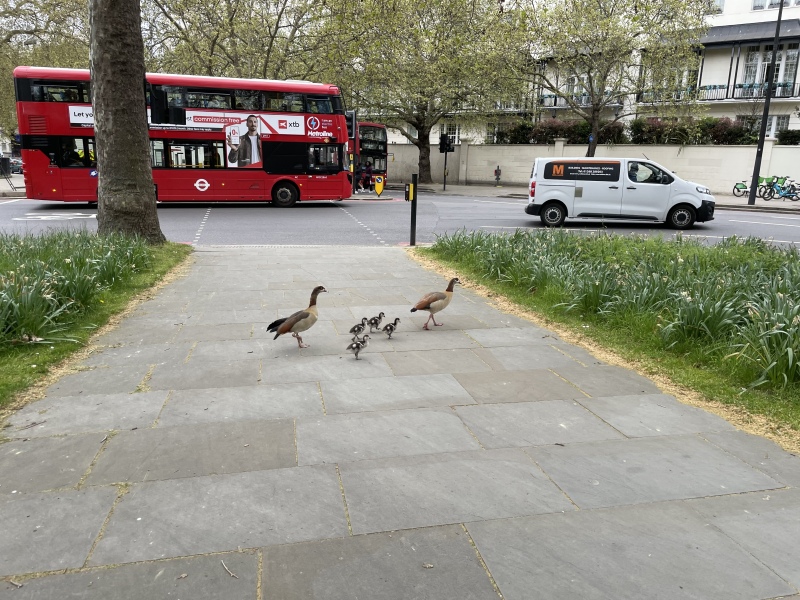 Come and tell us your dull and unexciting news 35: Calmly through the day