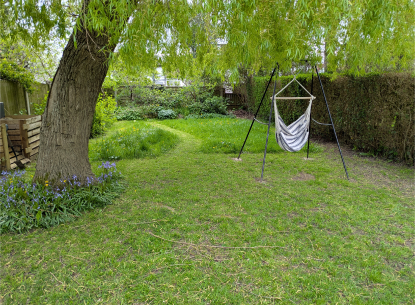 Touchdown at the Newest Bluestocking Inn. Pudding, cups of tea, the vegetable garden coming into its own, and gerbils beautiful gerbils all furry.