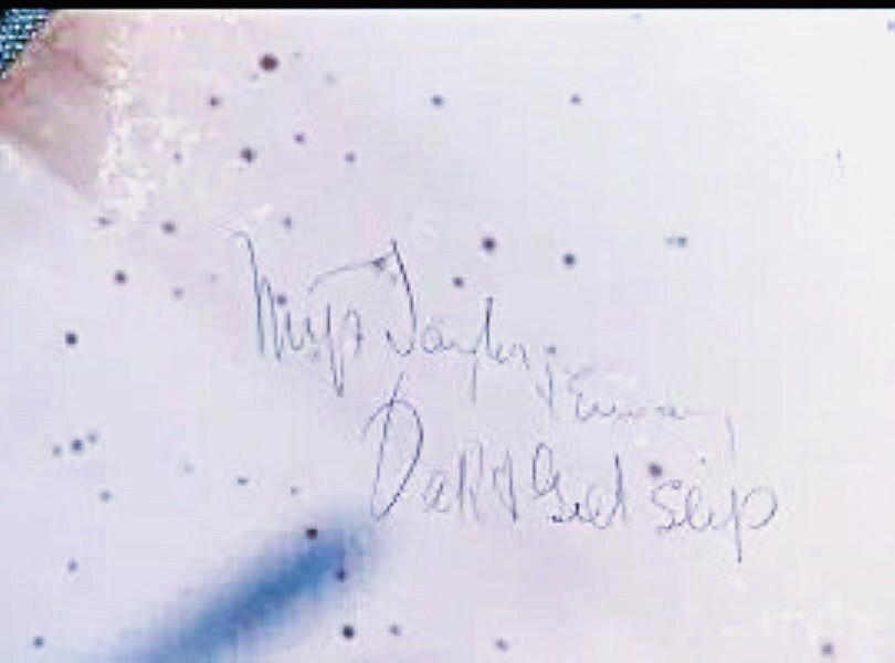 Can anybody read old handwriting? What the frick does this say?!