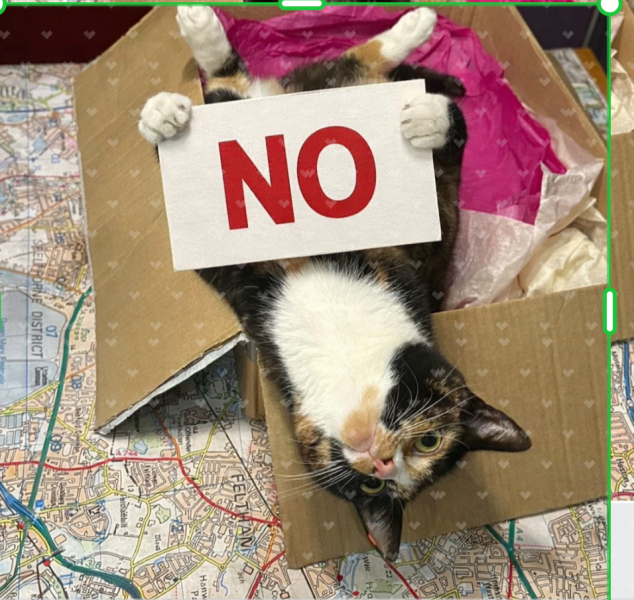 Woolly Hugs. A blanket for lovely wafflenose who has tragically lost her daughter. Can you help us please?