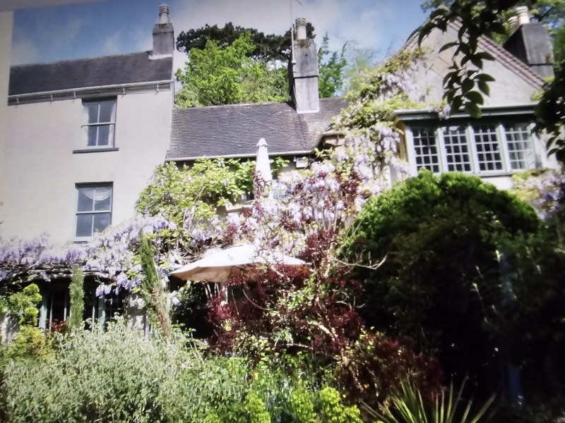 How's your wisteria doing? Or what are you proud of in the garden today?