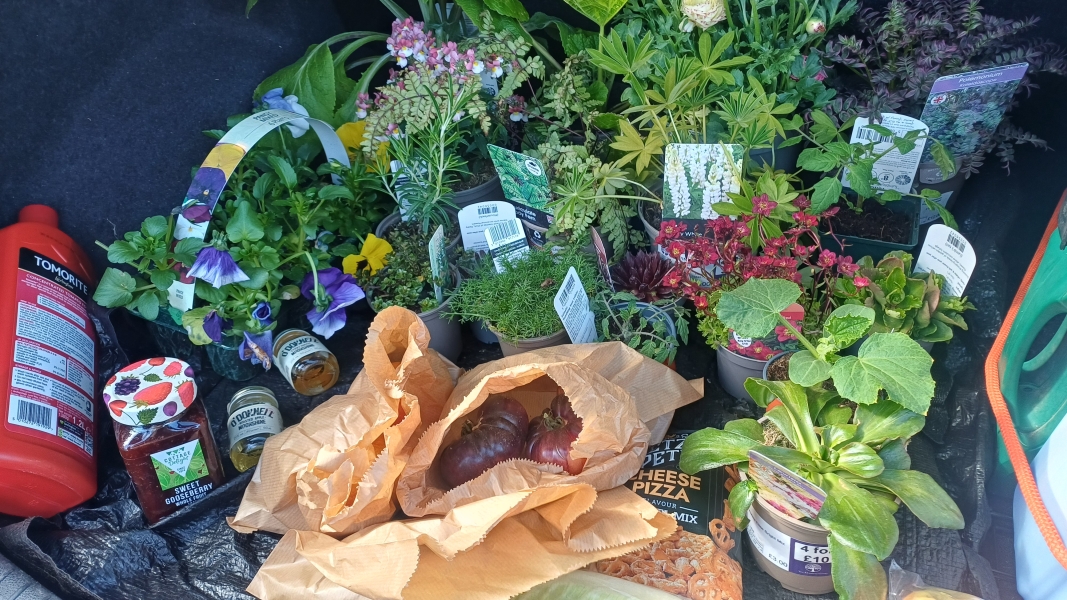 Just Supporting (Continued)