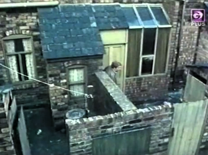 AIBU to refuse a council house over stairs and no outside space?