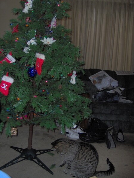 Remembering Milo