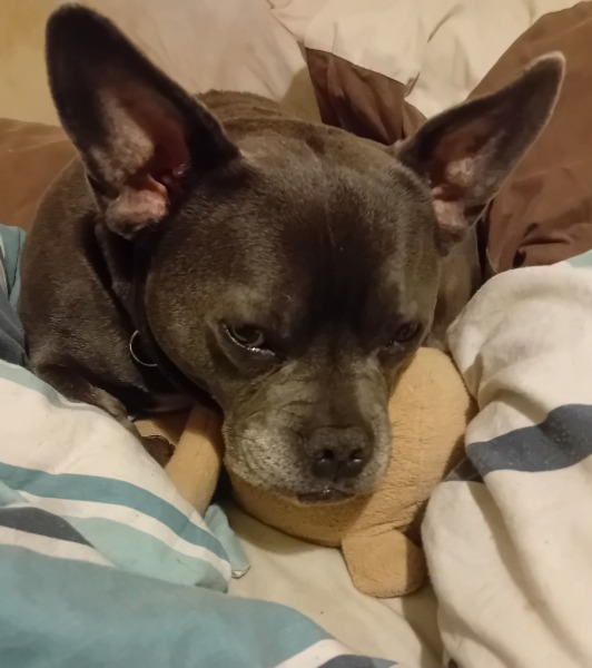 The Continuing Support Thread for Anyone Trying to Lead an Alcohol-Free Life Spring into Summer 2026