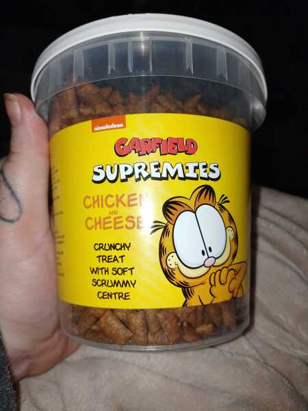 Carry On Catting - the Excellent Cats do what they do best