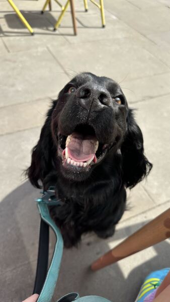 Beyond Adolescence and General Chit Chat - part 3