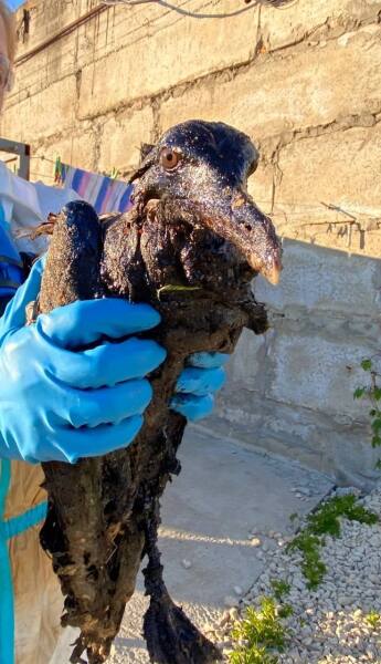 Ukraine Invasion: Part 60