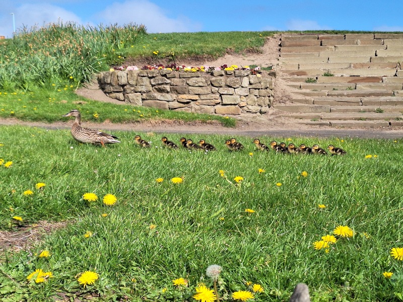 Year Round Nigel Slater discussion thread - Part 4