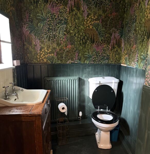 To ask to see your downstairs toilet wallpaper?