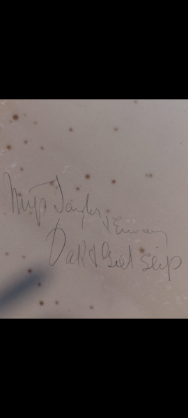 Can anybody read old handwriting? What the frick does this say?!