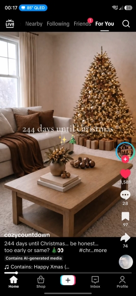 What will be your christmas aesthetic this year?