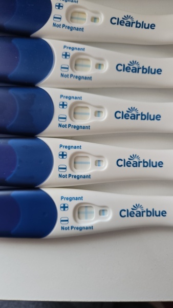Do these pregnancy test lines look promising at 12 DPO?