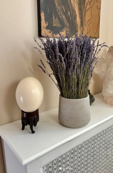 What do you put in vases when you don’t want fresh flowers?