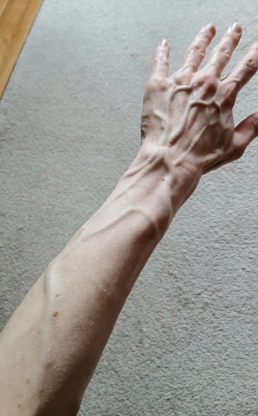 Veiny hands and arms
