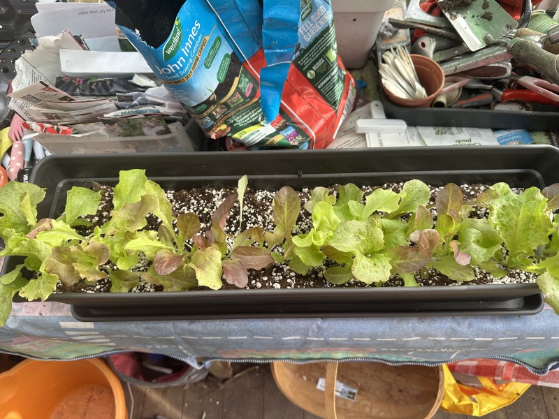 Year Round Nigel Slater discussion thread - Part 4