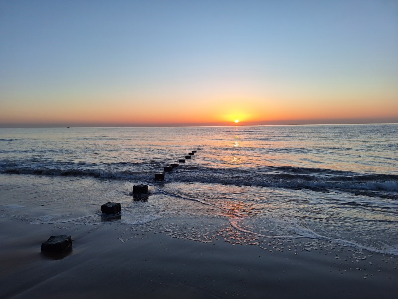 Year Round Nigel Slater discussion thread - Part 4